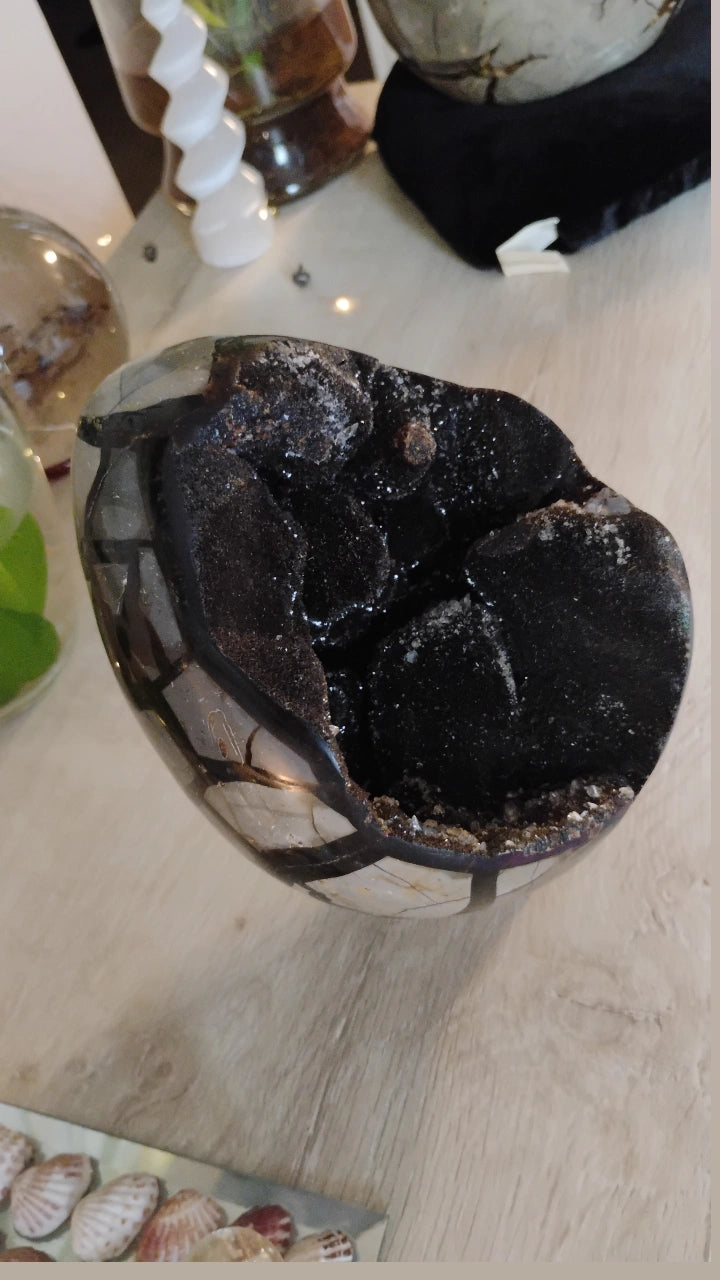 Large Septarian Dragon Egg Geode with clear Quartz Druzy