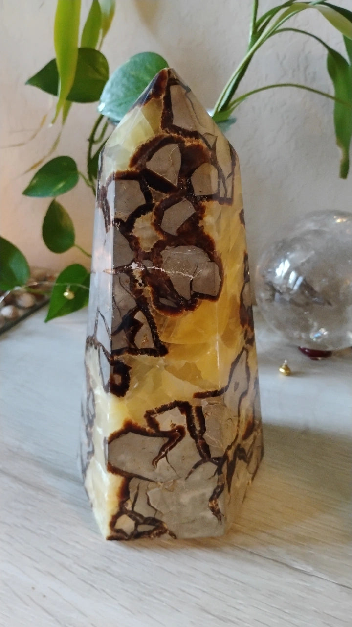 Large Septarian Tower