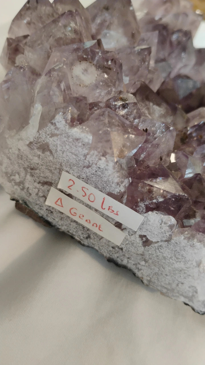 Raw Amethyst Druzy Geode Cut Base